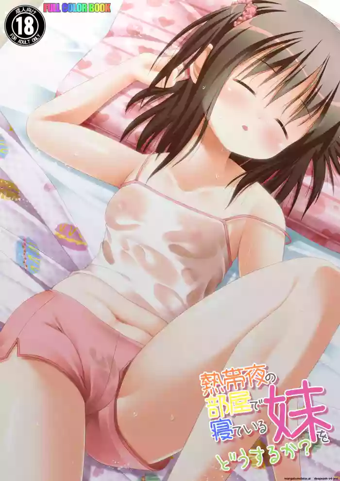 [Necocoya (Kanna Hisashi)] Nettaiya no Heya de Neteiru Imouto wo Dousuruka