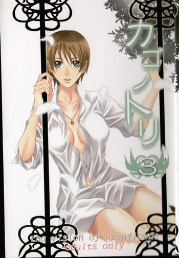 (C68) [Takahashi Kanbanten (Tajima Minato)] Kago no Tori 3 (Tenkuu No Escaflowne)