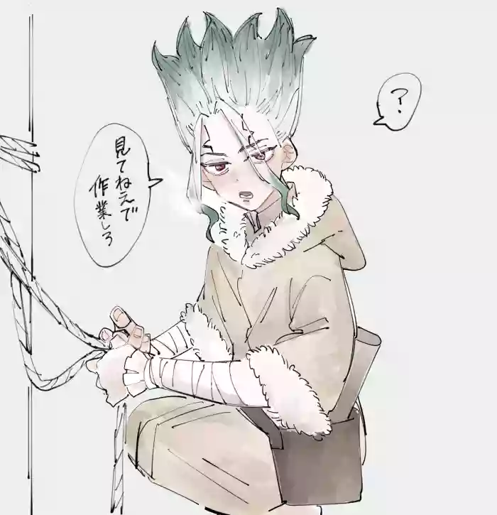 [takuanumekonbu] TsukaSen Log (Dr.STONE)