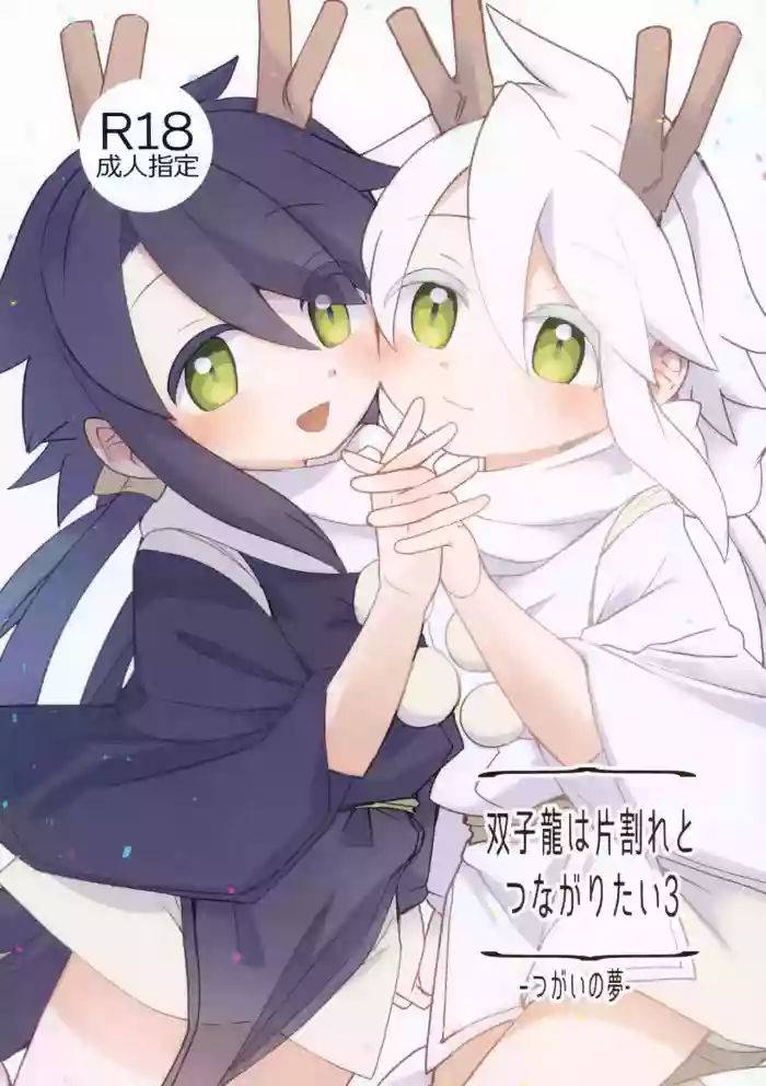 (JKet 8) [akanenomi (unii)] Futagoryuu wa Kataware to Tsunagaritai 3