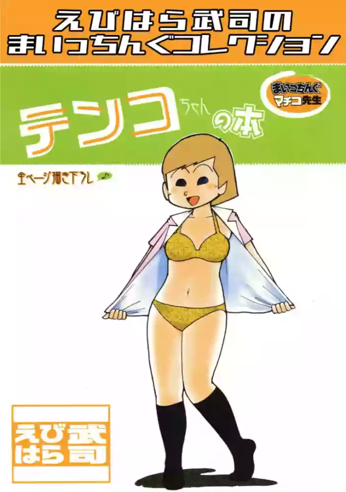 Maicching Machiko Sensei Tenko-chan's Books and Ebihara Takeshi's Maicching Collection NEW