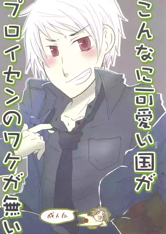 [Hyakugaiatte Ichirinashi (Makineko)] Konna ni Kawaii Kuni ga Prussia no Wake ga Nai (Hetalia Axis Powers)