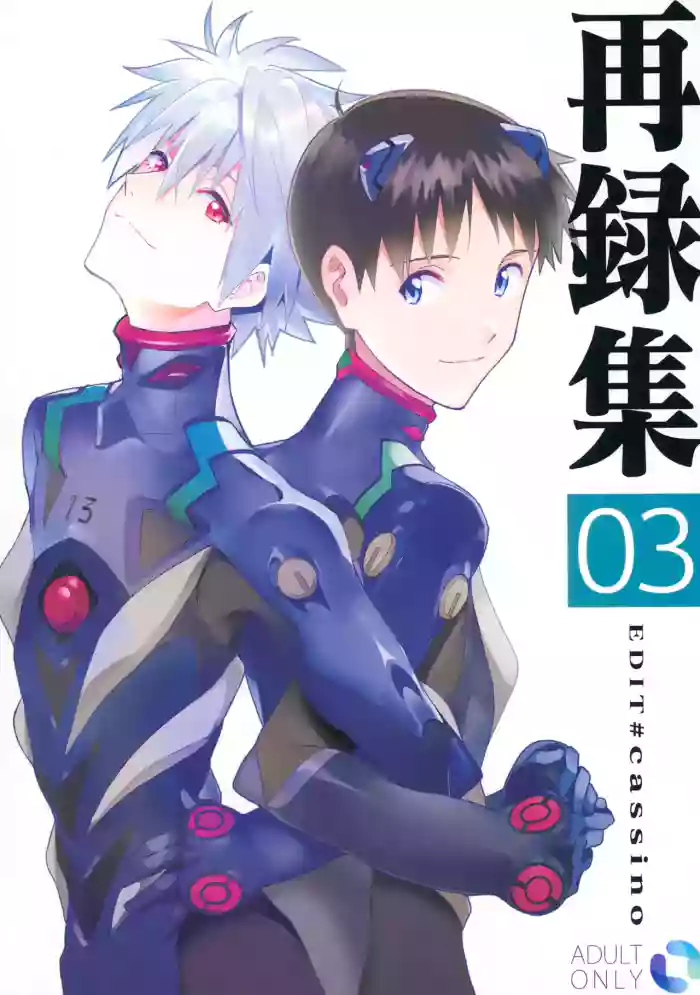 (Online Tora Matsuri 2020 Summer) [cassino (Magarikouji Lily)] EDIT -cassino Sairoku Shuu 3- (Neon Genesis Evangelion)