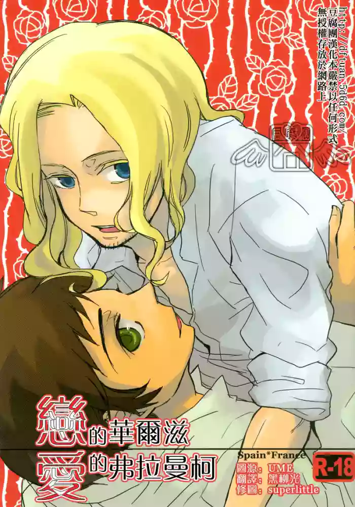 [LIBERO (Kimura)] Koi no Valse Ai no Flamenco (Hetalia Axis Powers) [Chinese]