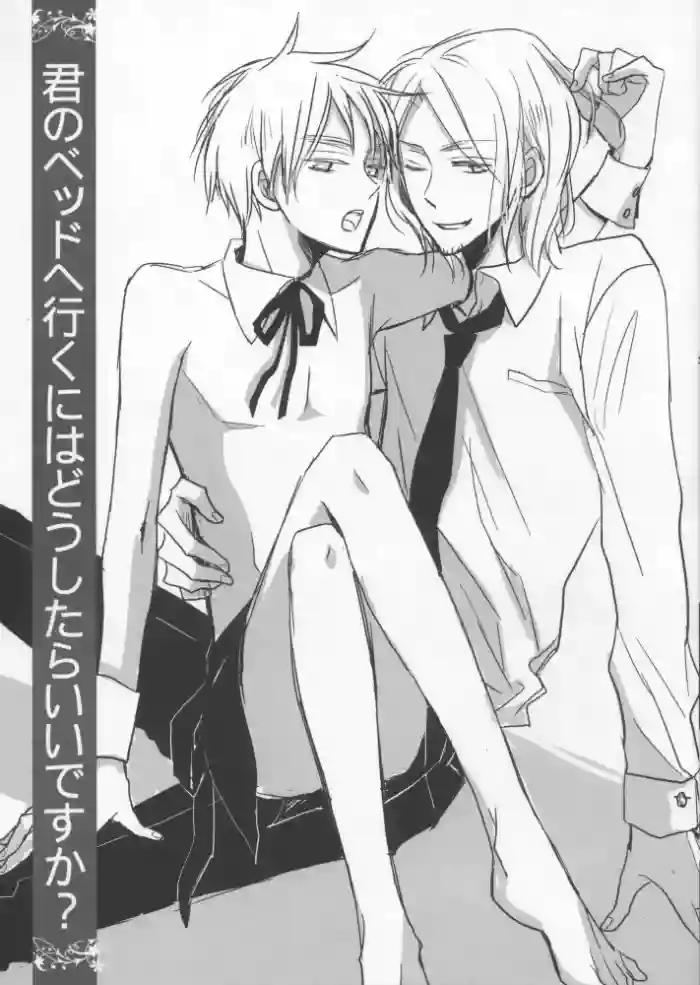 [LOVEPOTIONNO.9 (Ichinomiya Shihan)] What do I have to do to get into your bed? (Hetalia Axis Powers)