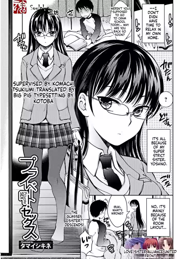 [Tamai Shikine] Private Sex