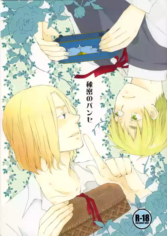 [KANOKE-jima (Itoh Kani)] Himitsu no Pensées (Hetalia Axis Powers)