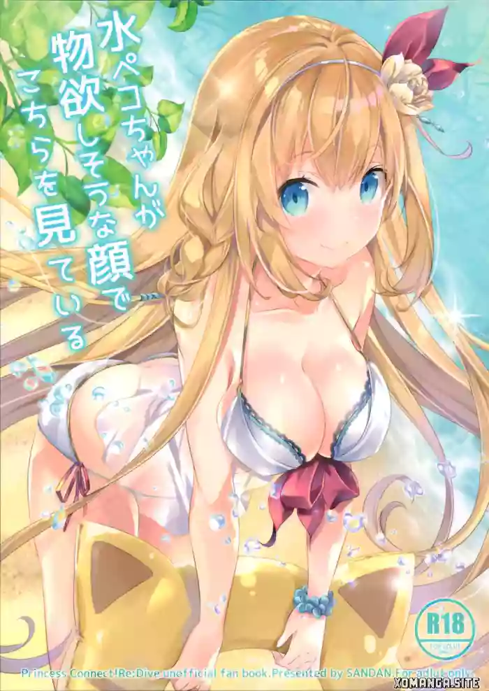 (C96) [SANDAN (Kurun)] Mizu Peco-chan ga Monohoshisou na Kao de Kochira o Miteru (Princess Connect! Re:Dive) [English] [XO Manga]