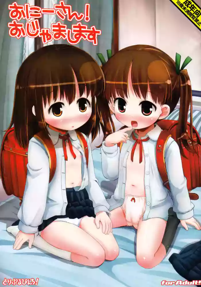 (COMIC1☆6) [Triple Pinch! (Hikami Izuto)] Onii-san! Ojamashimasu [Decensored]