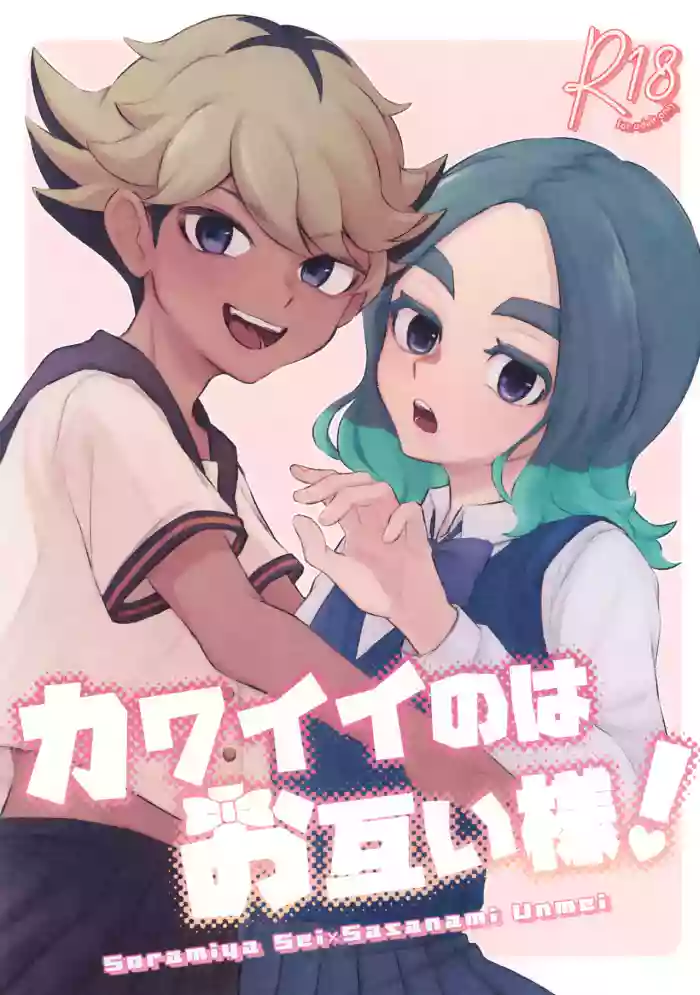 (Seishun Cup 42) [Chun Bird (Raicho)] Kawaii no wa Otagai-sama! (Inazuma Eleven)