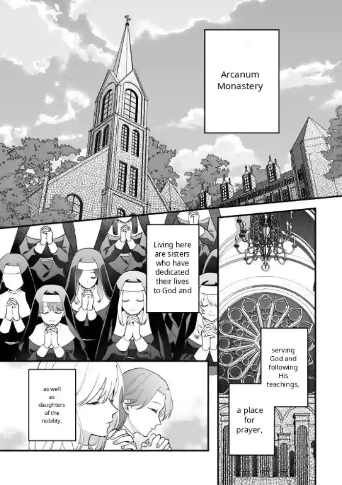 [Original] Vita's Confessional Memoirs