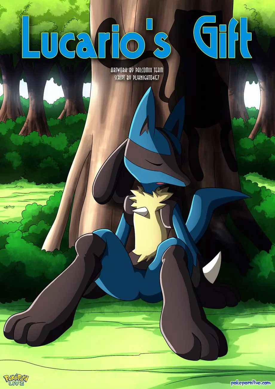 Lucario’s Gift (Pokemon) [Palcomix]