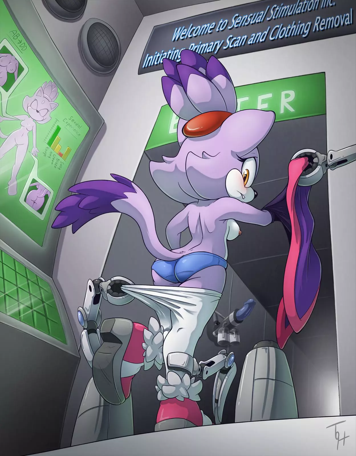 Blaze’s Sensual Makeover (Sonic The Hedgehog) [TheOtherHalf] cover