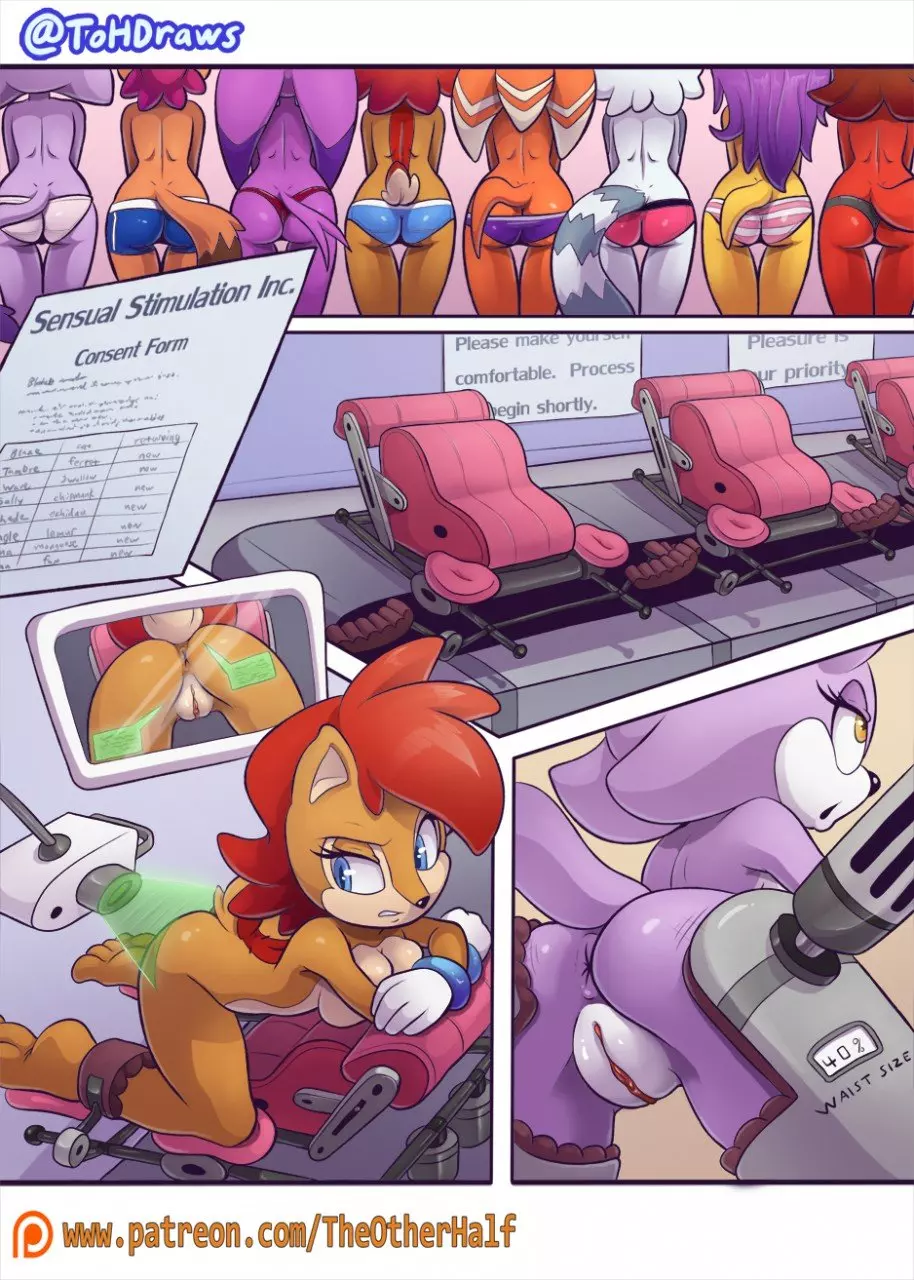 Group Enhancements (Sonic The Hedgehog) [TheOtherHalf] cover