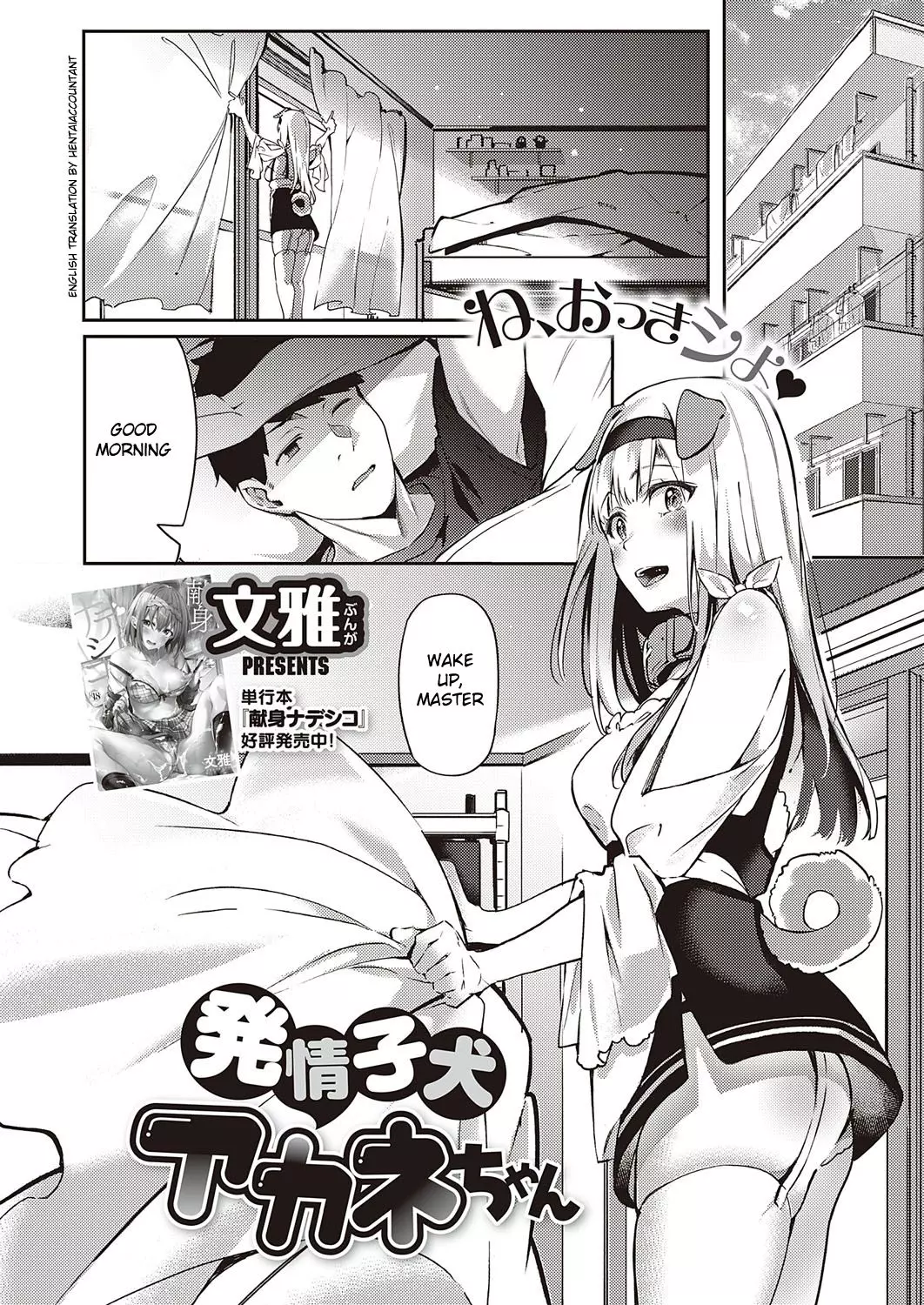 Hatsujou Koinu Akane-chan [Fumi Miyabi]