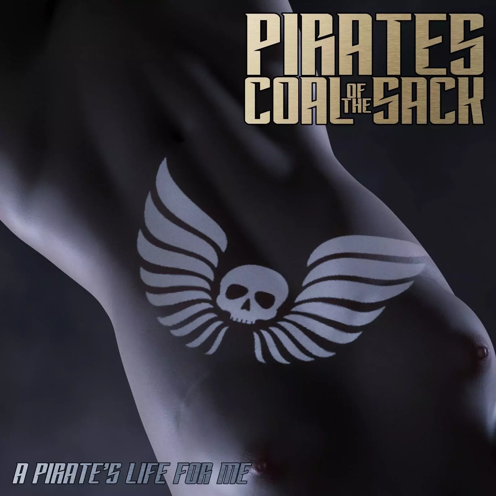 Pirates of the Coal Sack [DangerousLines] - Chapter 10
