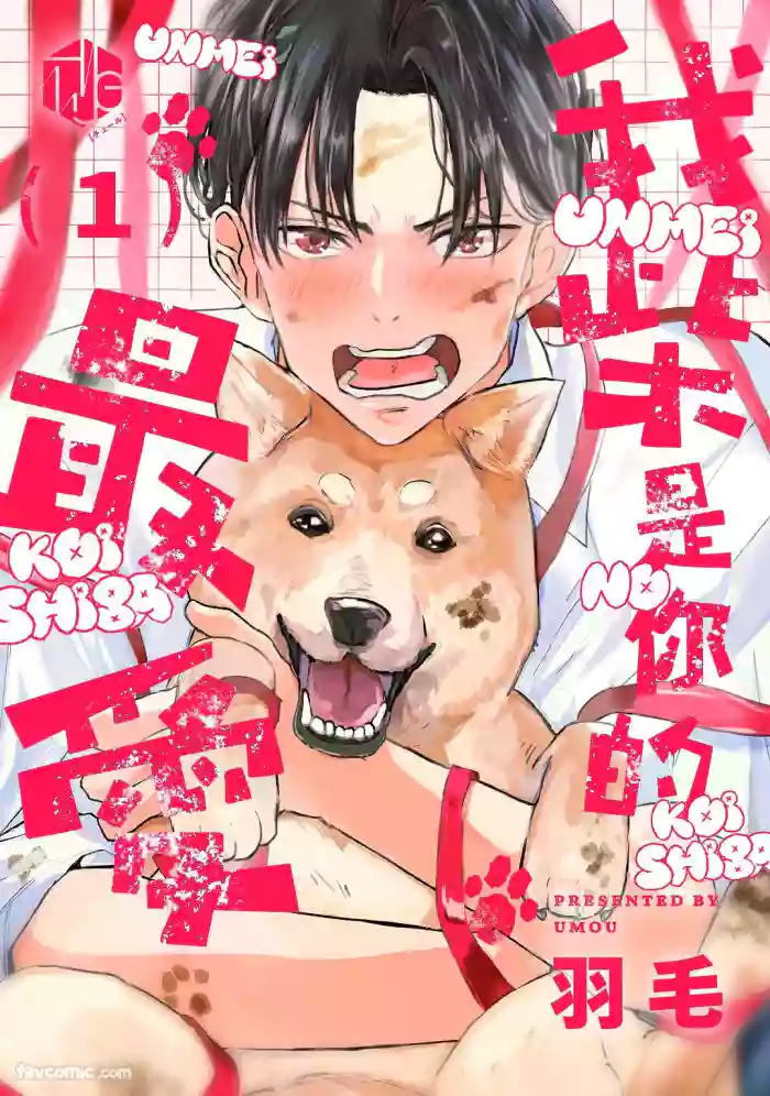 [Umou] Ummei no Koi Shiba︱我「柴」是你的最爱 [Chinese][1-6][完] cover