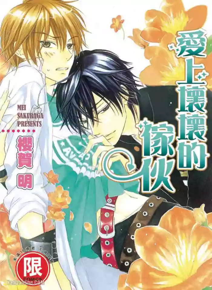 [SAKURAGA Mei] Warui Otoko Demo Ii｜爱上坏坏的家伙 [Chinese][全1卷] cover