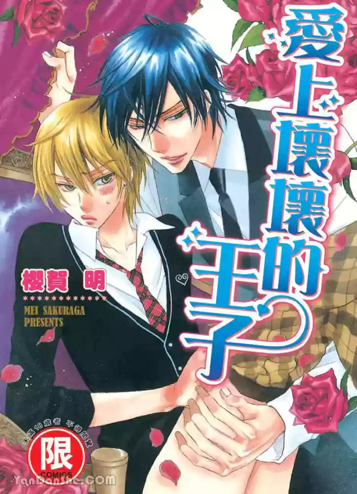 [SAKURAGA Mei] Warui Ōji Demo Suki｜爱上坏坏的王子 [Chinese][全1卷] cover