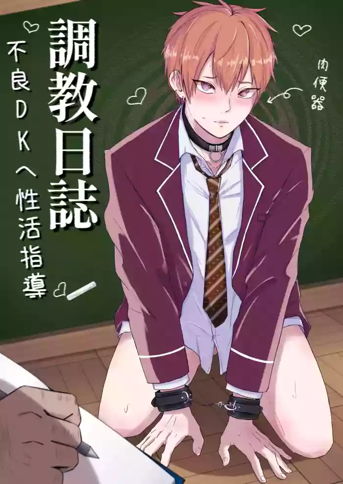 [Mochi tto usa ketsu] Choukyou nisshi ~ furyou DK he seikatsu shidou ~ cover