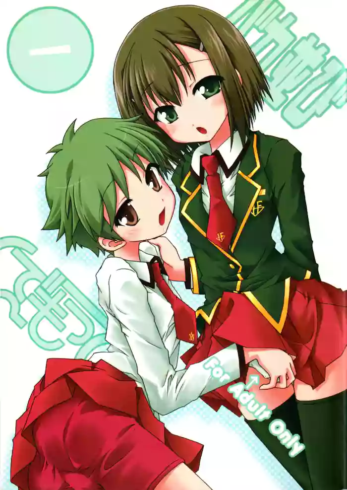 (C75) [Ndemotte (200X ZOOM, KOIZUMI)] Baka Narabi (Baka to Test to Shoukanjuu) [Chinese] [RATKING機翻] cover