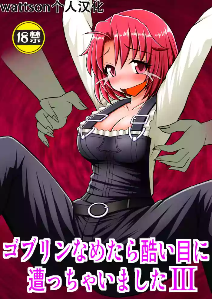 [Asanoya (Kittsu)] Goblin Nametara Hidoi Me ni Acchaimashita III (Goblin Slayer) [Chinese] [Digital] cover