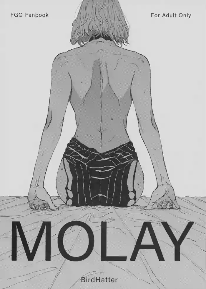 [BirdHatter] MOLAY (Fate Grand Order) [DL版] cover