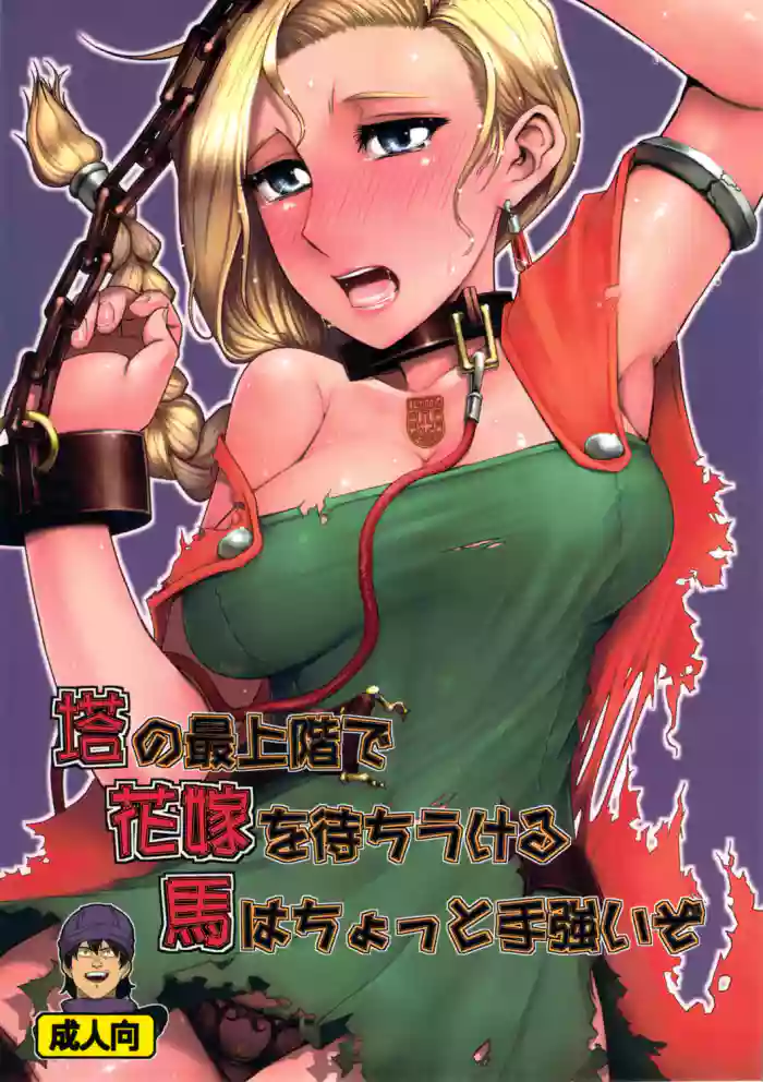 (C81) [A.S.G Group (Misonou)] Tou no Saijoukai de Hanayome o Machi Ukeru Uma wa Chotto Tegowai zo (Dragon Quest V) [Chinese] cover