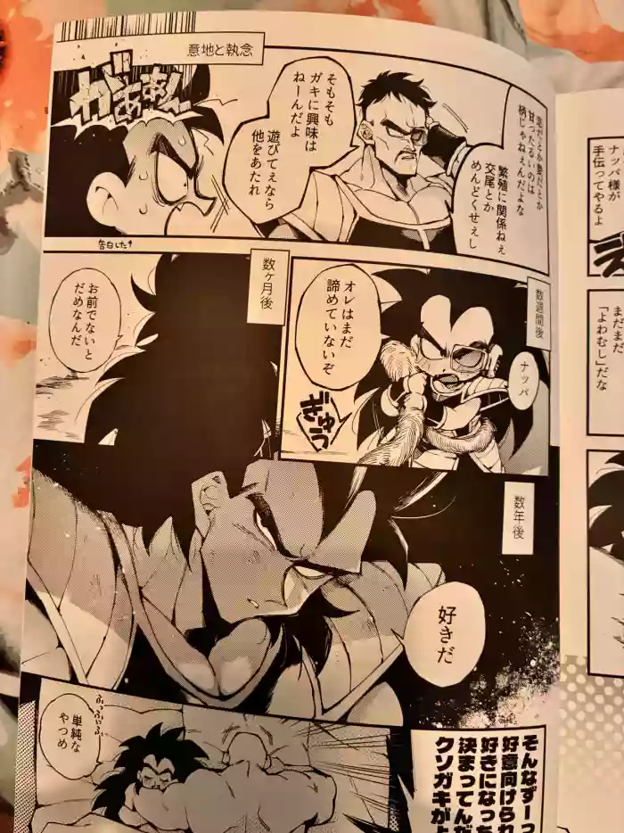 Raditz cover