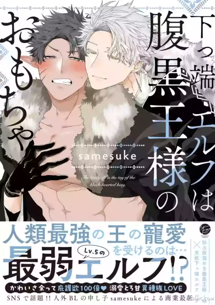 底层精灵是腹黑国王的玩物 cover