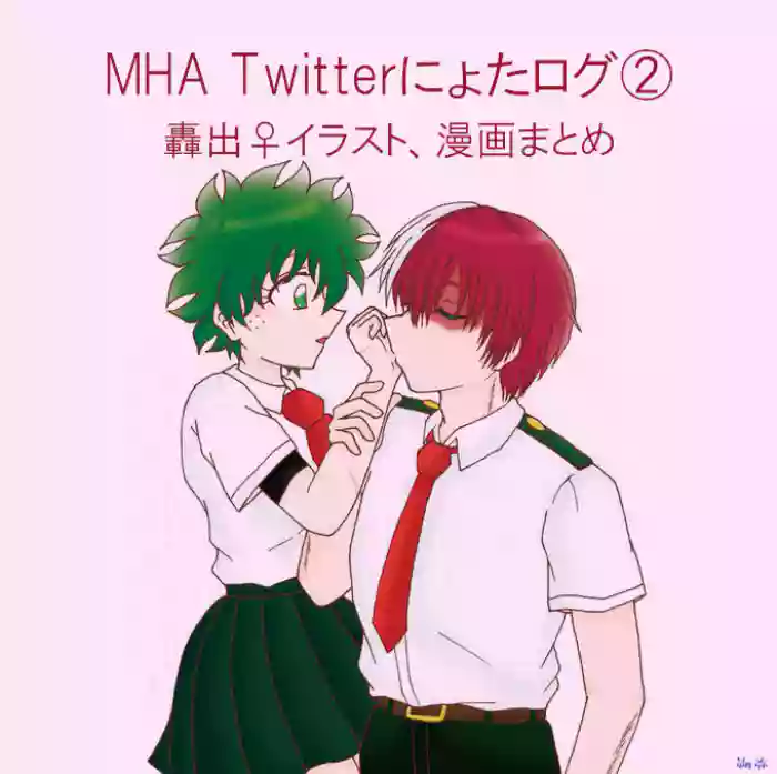 [Sakuya]Todoroki Izuru ♀ rogu ②(Boku no Hero Academia) cover
