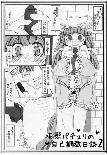 (Reitaisai 8) [Kouhuku Shigen (ryokutya)] Hentai Patchouli no Jiko Choukyou Nisshi 2 (Touhou Project)
