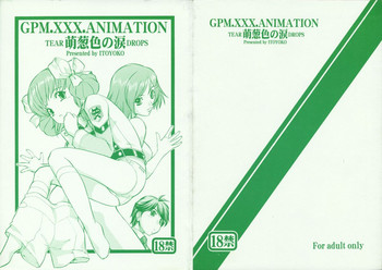 [Toraya (ITOYOKO)] GPM.XXX Animation Moegiiro no Namida - Tear Drops (Gunparade March)