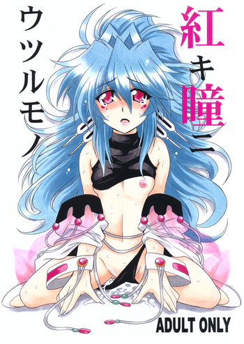 (COMIC1☆5) [Leaz Koubou (Oujano Kaze)] Akaki Hitomi ni Utsuru Mono (Super Robot Wars OG)