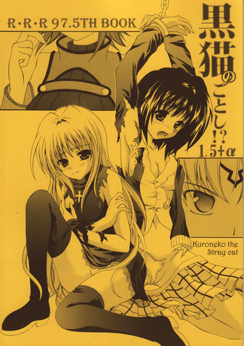(C71) [RED RIBBON REVENGER (Makoushi)] Kuroneko no Gotoshi!? 1.5＋α (Black Cat)