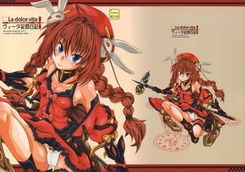 (C80) [Shirando (Shiran Takashi)] Vita Mousou Nikki (Mahou Shoujo Lyrical Nanoha)