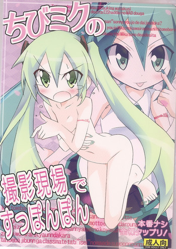 (COMIC1☆5) [Nihon Dandy (Matsuno Susumu)] Chibi-miku no Satsuei Genba de Supponpon (Vocaloid)
