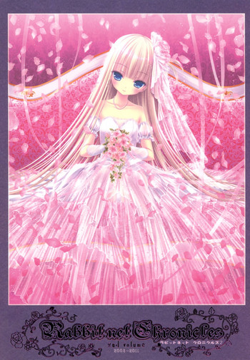 [Rabbit] habit net chronicles 2nd volume