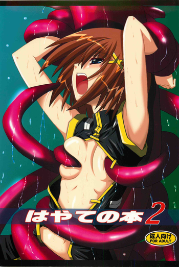 (C74) [Yoru no Benkyoukai (Fumihiro)] Hayate no Hon 2 (Mahou Shoujo Lyrical Nanoha)