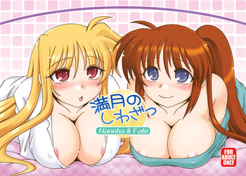 [ARCTIC PAN (Shaa Peipei)] Mangetsu no Shiwaza (Mahou Shoujo Lyrical Nanoha) [Digital]