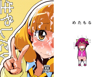 (C82) [Metamor (Ryo)] Hayashitai. (Smile Precure!)