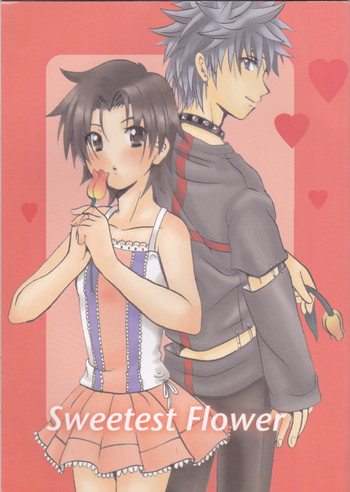 [GRO (Iseejin Kyoukai)] Sweetest Flower (Hunter x Hunter) [English] {SaHa}
