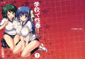 (COMIC1☆7) [OTOMEKIBUN (Sansyoku Amido.)] Gakkou de Seishun! 7