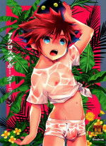 (C97) [Karasuma Pink Higashiiru (Karasuma Pink)] Across the Borderline (Kingdom Hearts)
