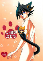 (C78) [Soushinbako @YGO! (Nakami Yukitaka)] Feeling of the Tail (Yu-Gi-Oh! 5D's)