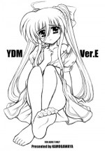 [Kamogawaya (Kamogawa Tanuki)] YDM Ver.E (Mahou Shoujo Lyrical Nanoha) [English]