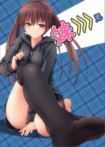 [Honey Lounge (Hachimitsu)] Imouto >>> Ani [English] {Dsojourn}