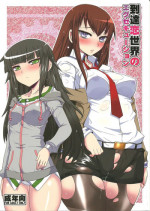 (C84) [YOMOTHUHIRASAKA (bbsacon)] Toutatsu Koi Sekai no Execution (Steins;Gate)