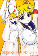 (C84) [BLACK DOG (Kuroinu Juu)] SUBMISSION-SUPER MOON (Bishoujo Senshi Sailor Moon) [Chinese]