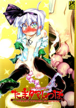(C81) [Narumiya (Narumiya)] Tama Tama Shippo (Touhou Project) [English] [biribiri]
